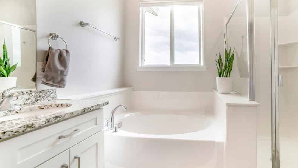 Move In/Out Cleaning image